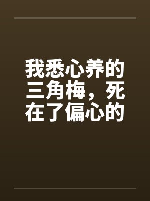 我悉心养的三角梅，死在了偏心的家