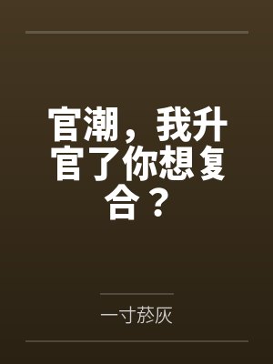 官潮,我升官了你想复合?